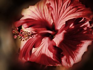 photo-3-projet-365