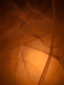 photo-31-projet-365